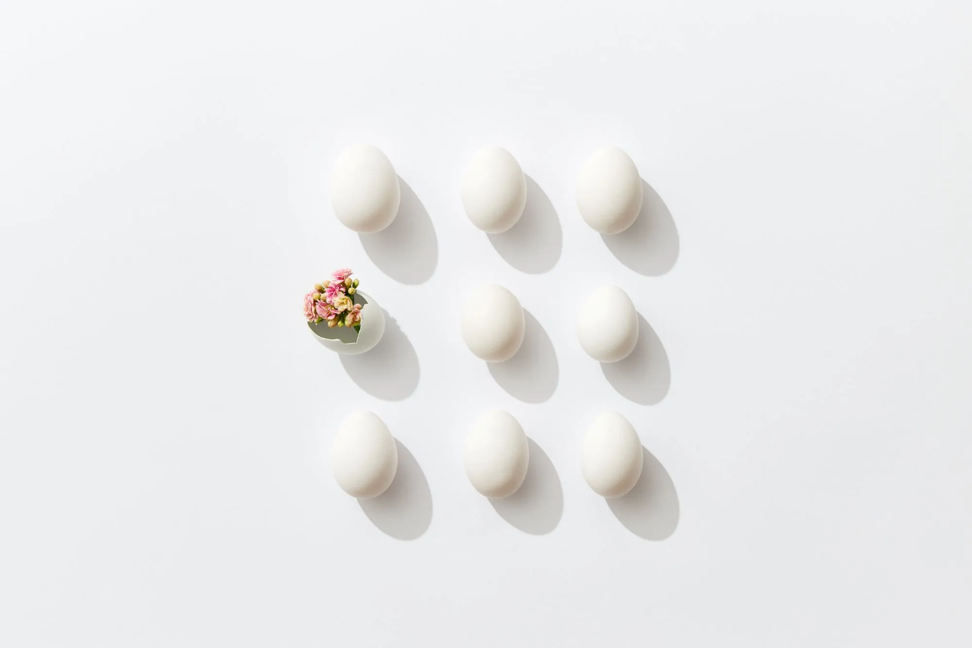 Can You Improve Egg Quality? What to Know Before IVF or Egg Freezing