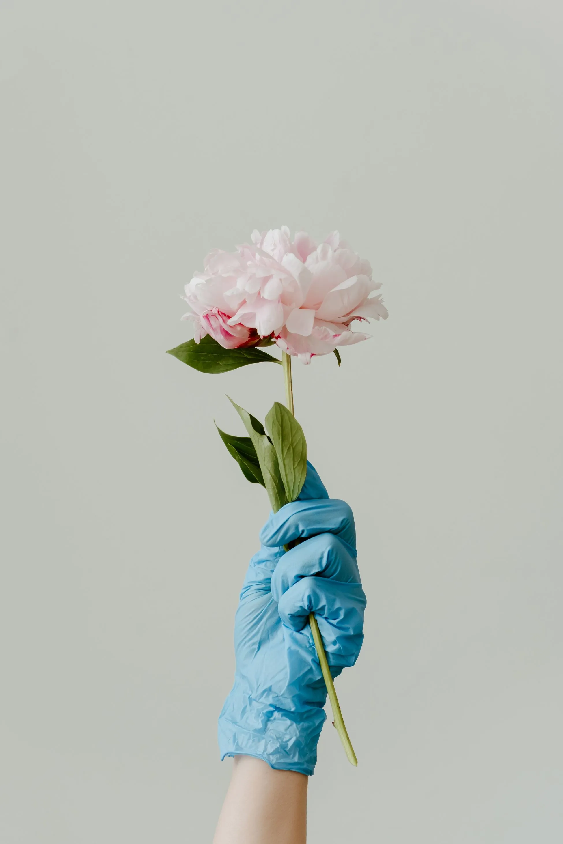 Gloved hand holding flower