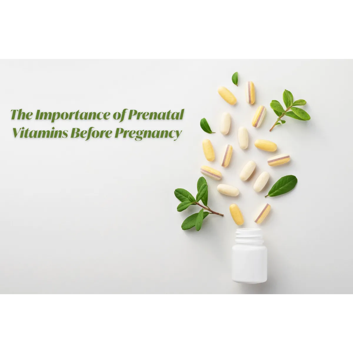 The Importance of Prenatal Vitamins Before Pregnancy